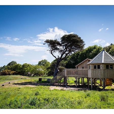 ダンバー Harvest Moon Treehouseヴィラ エクステリア 写真